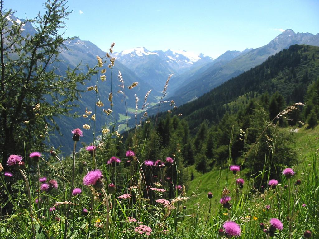 Alpenpension Pfurtscheller